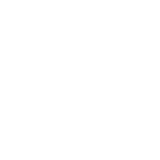 BrainStorm™ CRM logo
